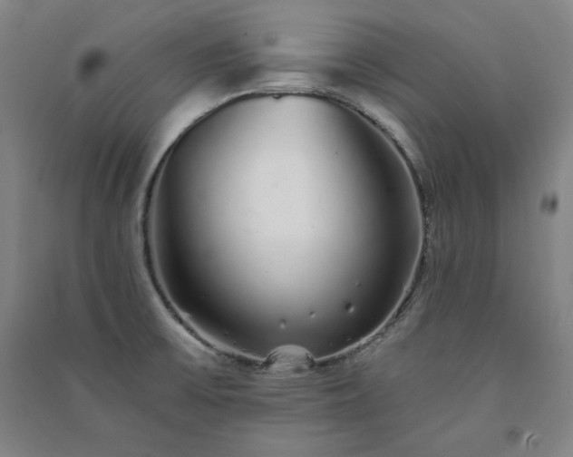 X0000091331475200708171341