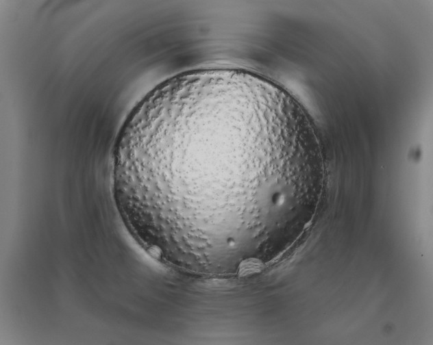 X0000091331476200708171341