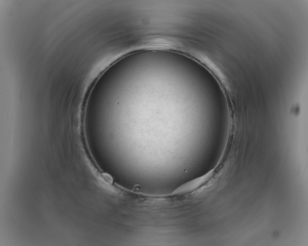 X0000091331477200708171341