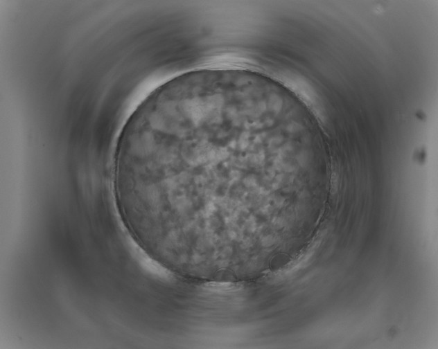 X0000091331478200708171341