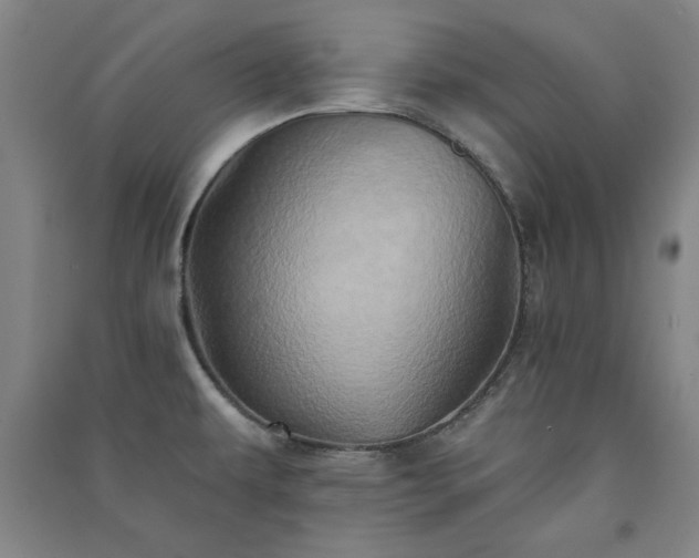 X0000091331479200708171341