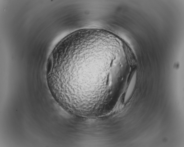 X0000091331480200708171341