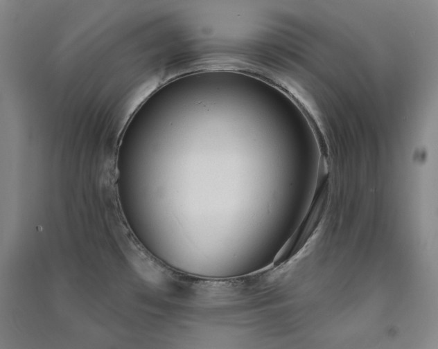 X0000091331481200708171341