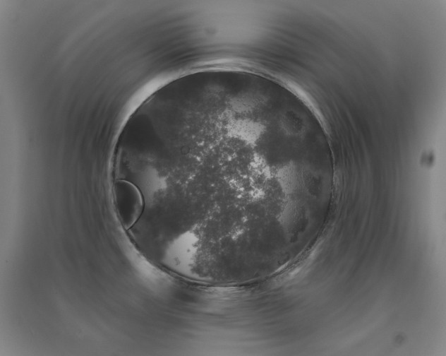 X0000091331482200708171341