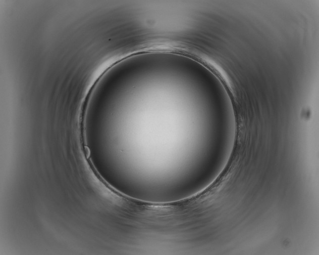 X0000091331483200708171341