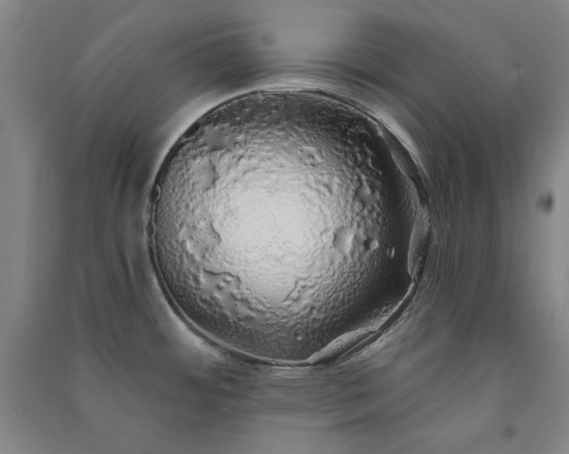 X0000091331484200708171341