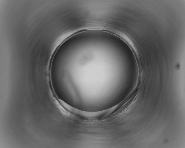 X0000091331485200708171341