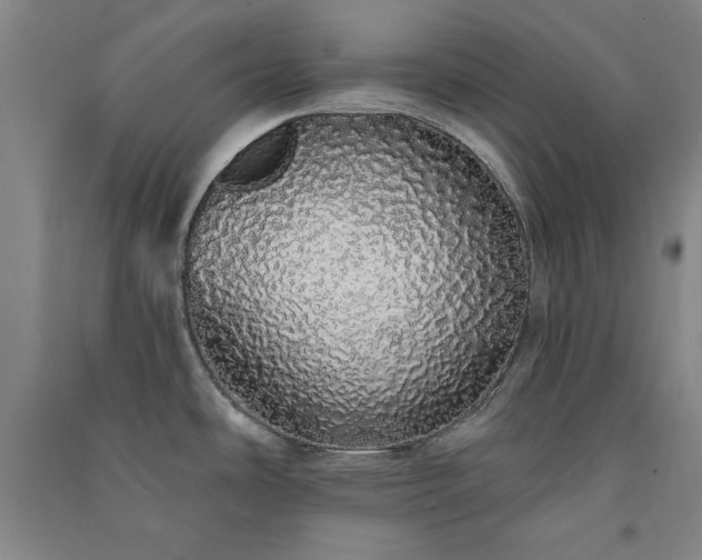 X0000091331486200708171341