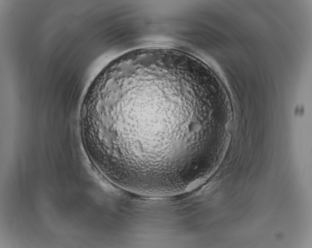 X0000091331488200708171341