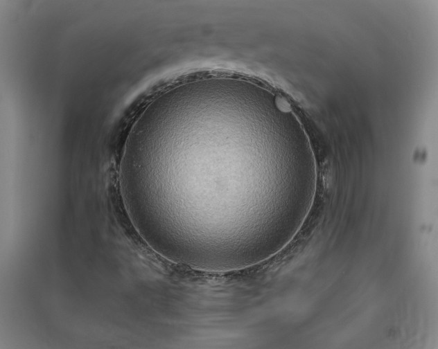 X0000091331495200708171340