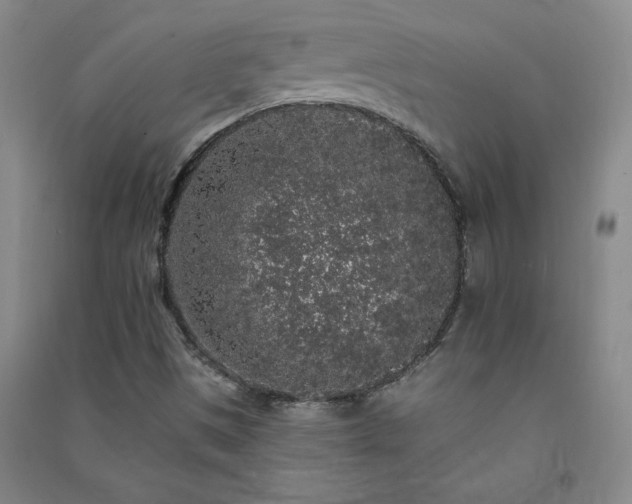 X0000091331497200708171340