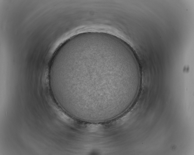 X0000091331498200708171340