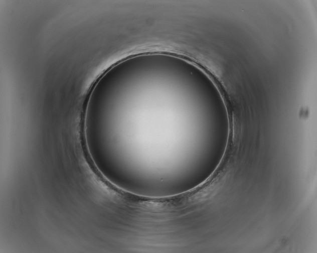 X0000091331500200708171340