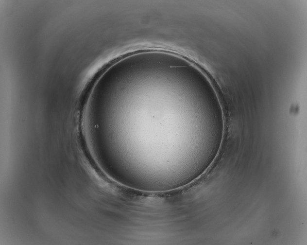 X0000091331503200708171340