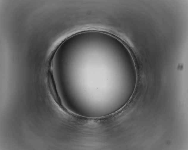 X0000091331504200708171340