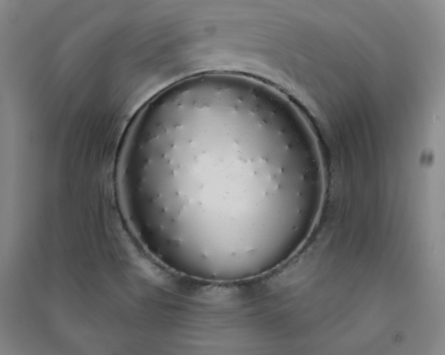 X0000091331513200708171340