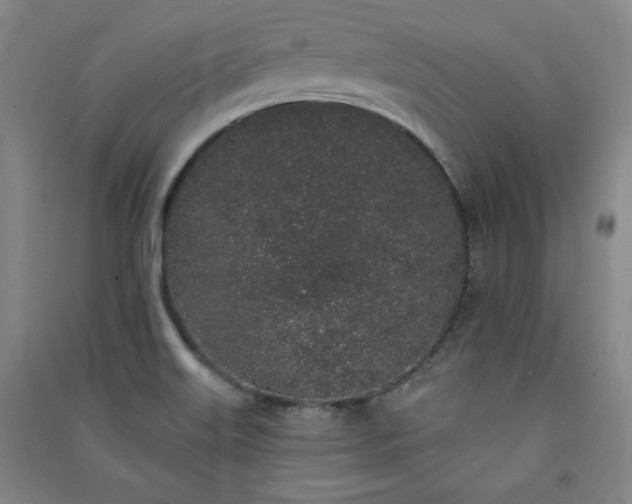 X0000091331515200708171340