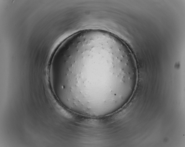 X0000091331517200708171340