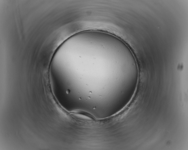 X0000091331521200708171340