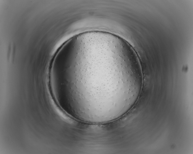 X0000091331523200708171340