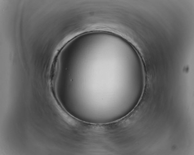 X0000091331525200708171340