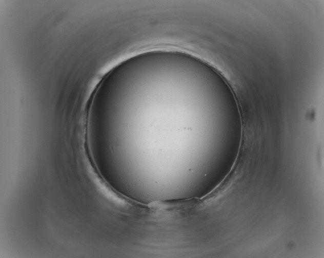 X0000091331526200708171340