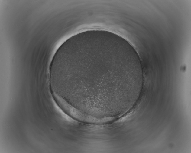 X0000091331527200708171340