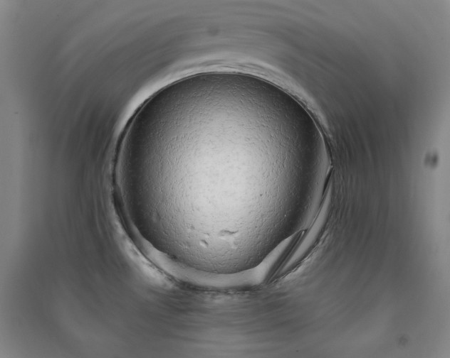 X0000091331530200708171341