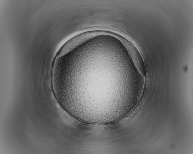 X0000091331534200708171341