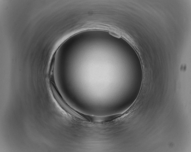 X0000091331536200708171341