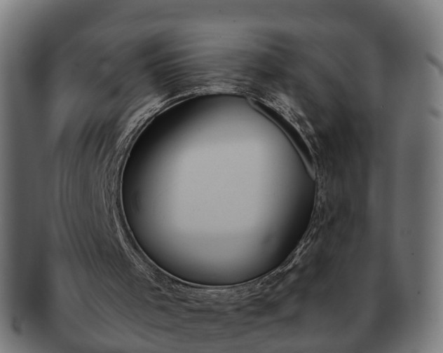 X0000091330001200708241211