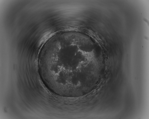 X0000091330002200708241211