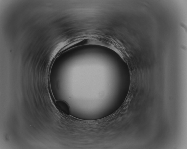 X0000091330003200708241211