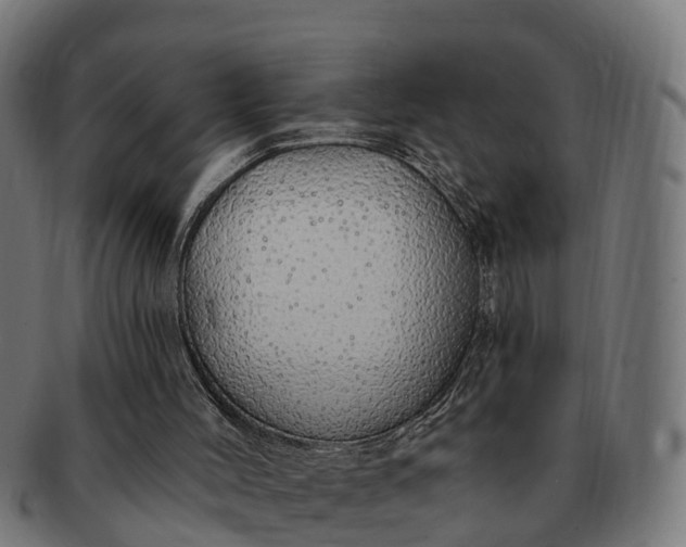 X0000091330004200708241211