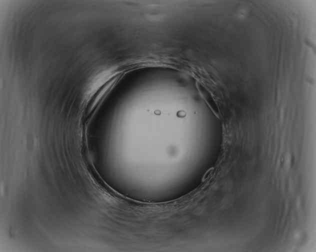 X0000091330005200708241211