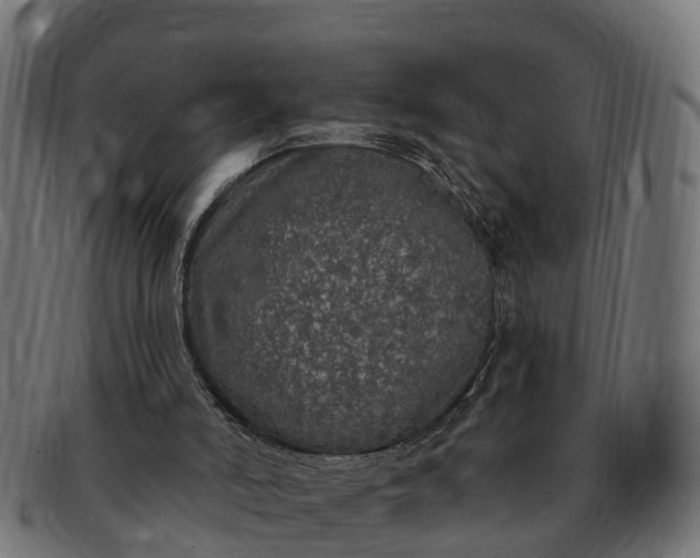 X0000091330006200708241211