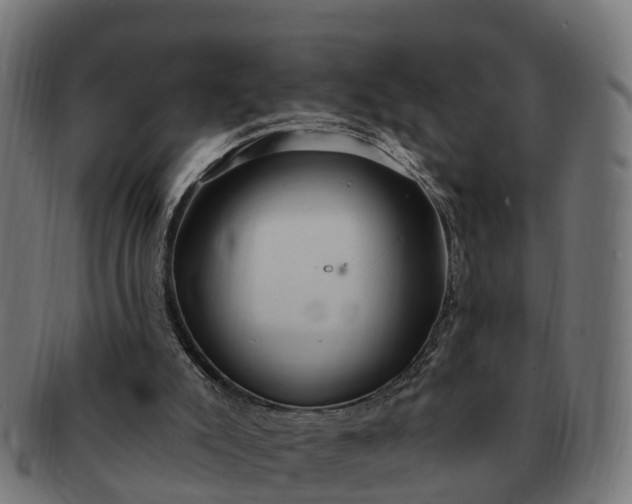 X0000091330007200708241211