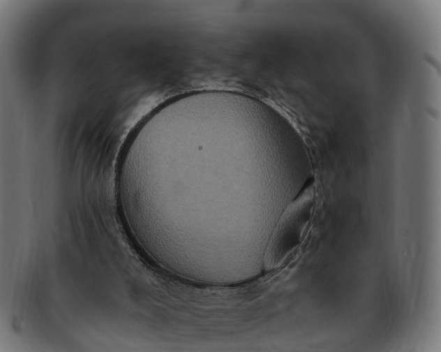 X0000091330008200708241211