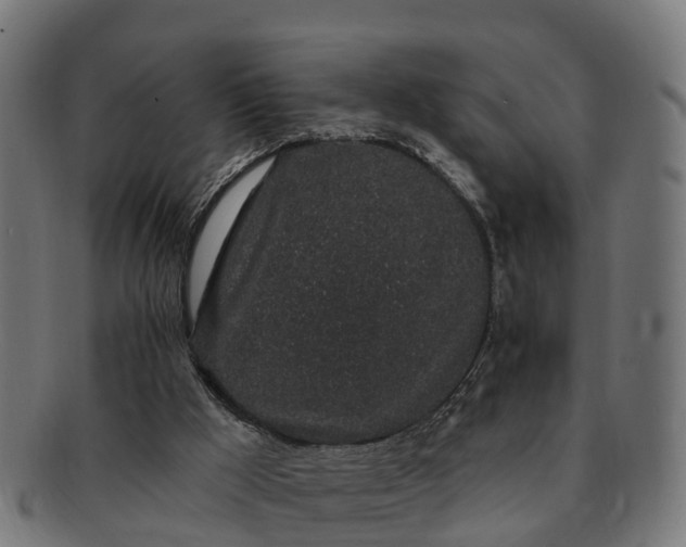 X0000091330009200708241211