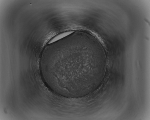 X0000091330010200708241211