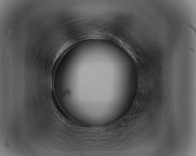 X0000091330011200708241211