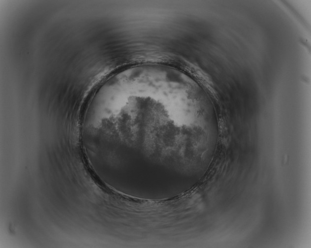 X0000091330012200708241211