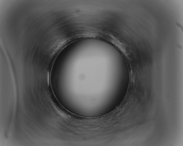 X0000091330013200708241211