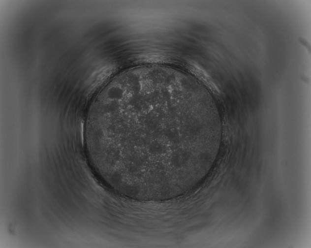 X0000091330014200708241211