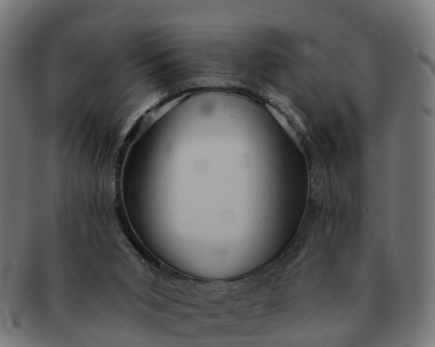 X0000091330015200708241211