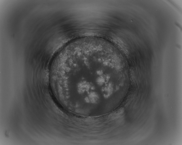 X0000091330016200708241211