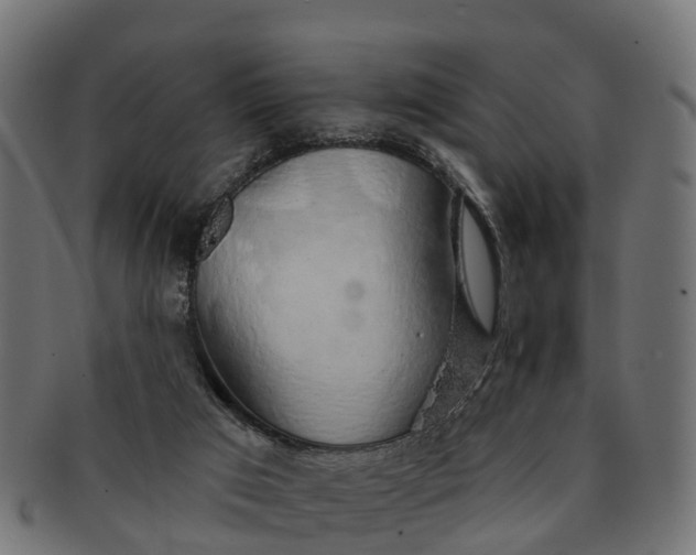 X0000091330017200708241211