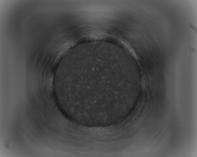 X0000091330018200708241211