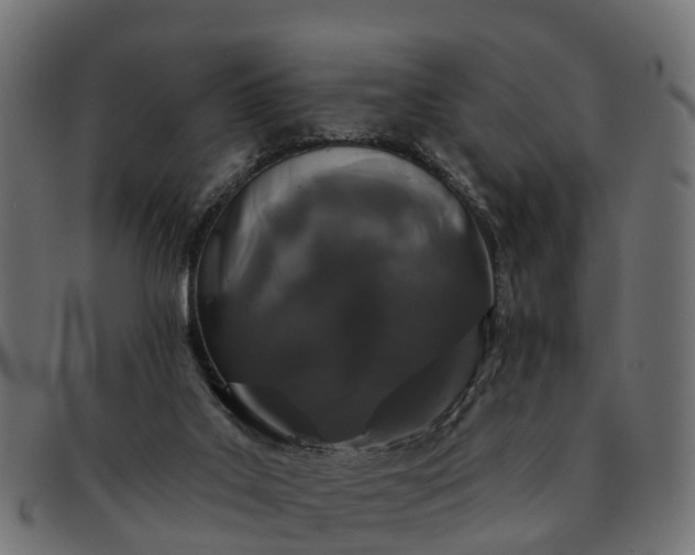 X0000091330019200708241211