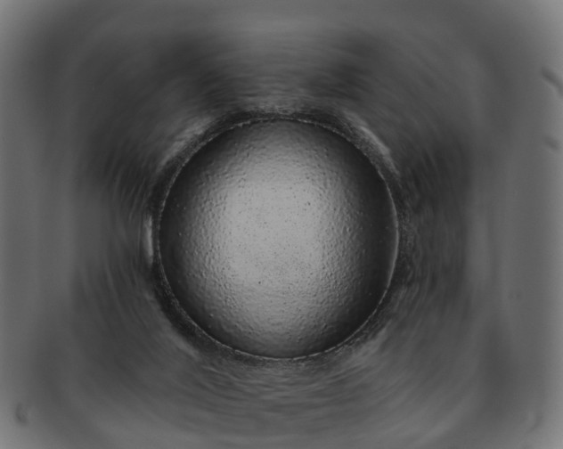 X0000091330020200708241211